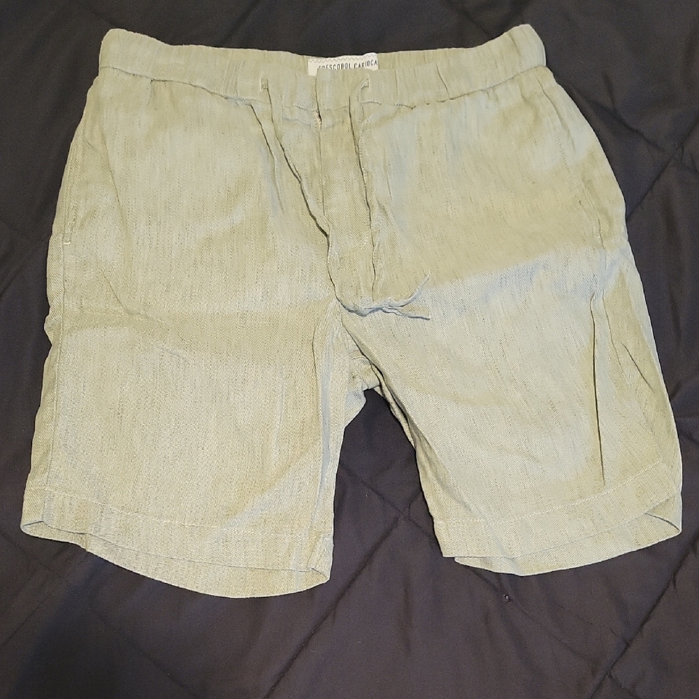 Men's Flat Front Linen-Blend Shorts in Light Green